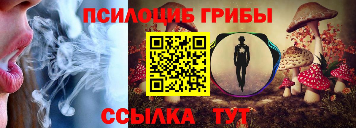 Псилоцибиновые грибы Psilocybe Северск