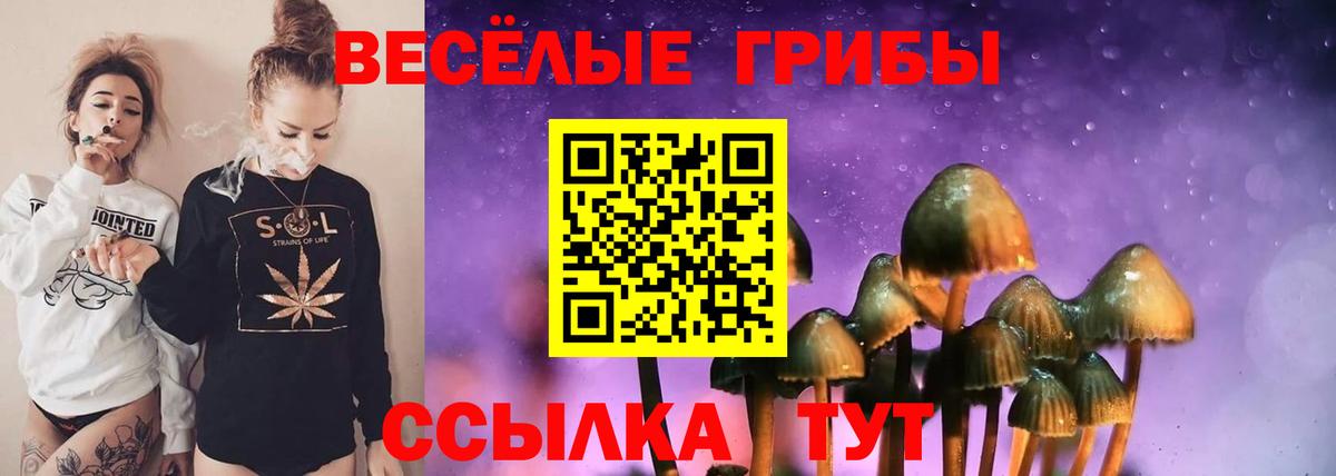 купить наркотики цена  Галлюциногенные грибы Psilocybine cubensis  Вход с VPN  Галлюциногенные грибы мухоморы  Северск 